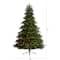 8ft. Pre-Lit South Carolina Spruce Artificial Christmas Tree, Clear Lights